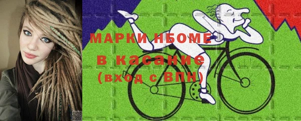 сатива Нягань