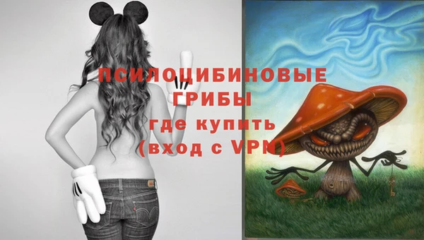 мескалин Нязепетровск