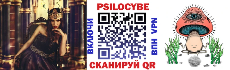 сколько стоит  Нестеров  маркетплейс Telegram  Псилоцибиновые грибы Magic Shrooms 